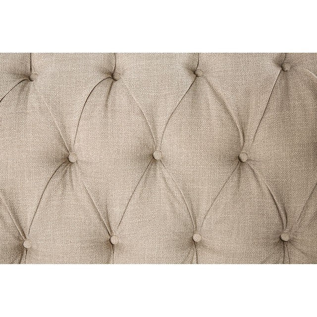 Laney Sofa Beige - Visions in Furniture (La Mirada, CA)