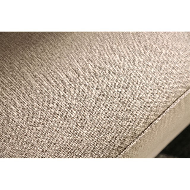 Laney Sofa Beige - Visions in Furniture (La Mirada, CA)