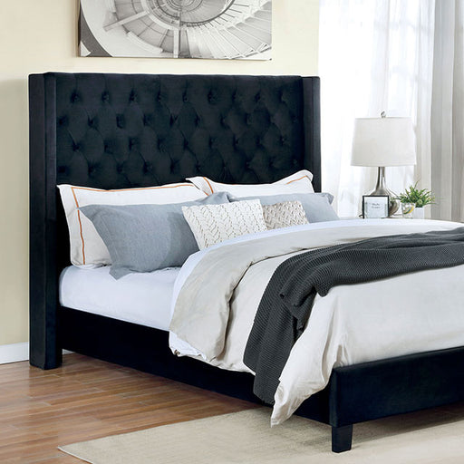 Ryleigh Bed Black, Grey, & Navy - Visions in Furniture (La Mirada, CA)