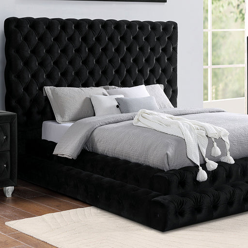 Stefania Bed Grey & Queen - Visions in Furniture (La Mirada, CA)