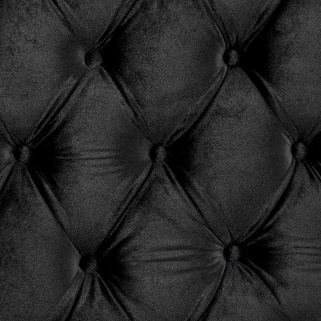 Stefania Bed Grey & Queen - Visions in Furniture (La Mirada, CA)