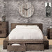 JANEIRO Cal.King & Queen Bed - Visions in Furniture (La Mirada, CA)
