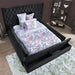 Davida Bed - Visions in Furniture (La Mirada, CA)