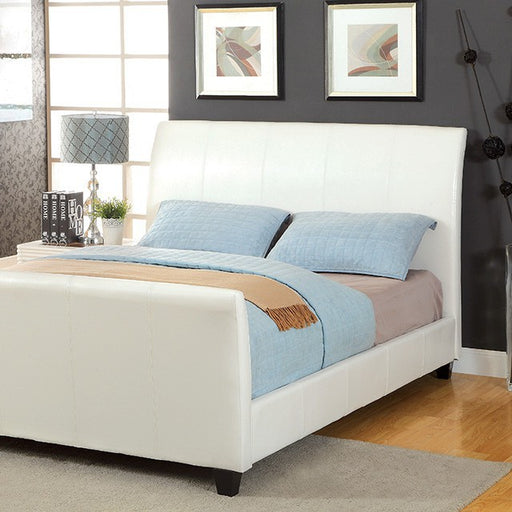 Maynard Bed Espresso & White - Visions in Furniture (La Mirada, CA)