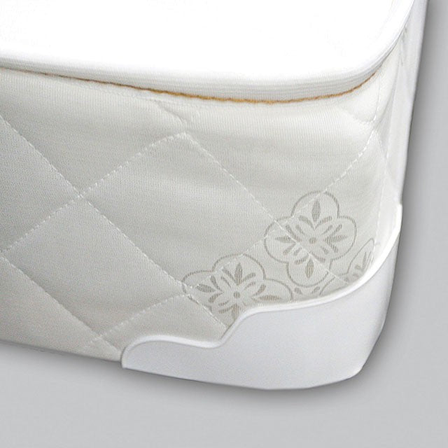 Daisy White 8" Bunkie Board Combo Mattress, Queen - Visions in Furniture (La Mirada, CA)
