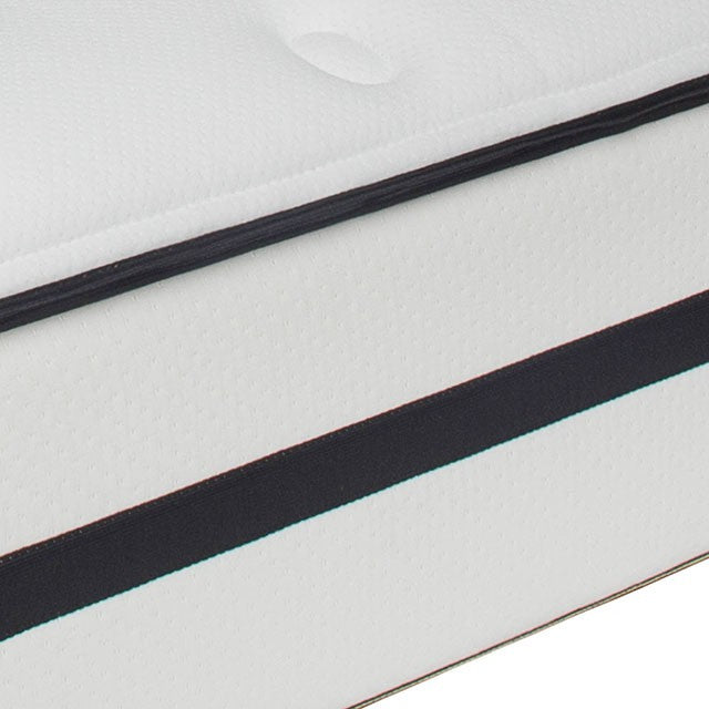 Kastel Queen Mattress - Visions in Furniture (La Mirada, CA)
