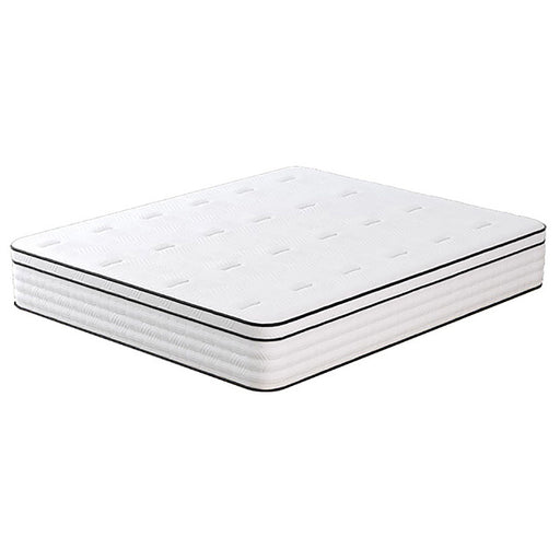 Salvia 12" E.King Hybrid Pocket Coil Mattress - Visions in Furniture (La Mirada, CA)
