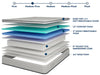 Salvia 12" Queen Hybrid Pocket Coil Mattress - Visions in Furniture (La Mirada, CA)