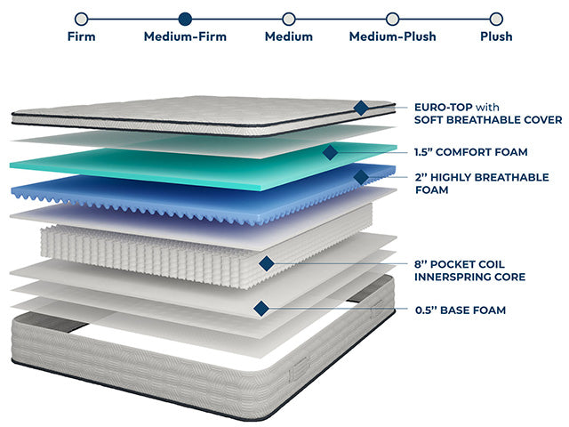 Salvia 12" Queen Hybrid Pocket Coil Mattress - Visions in Furniture (La Mirada, CA)