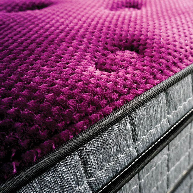 Minnetonka 13" Euro Pillow Top Mattress - Visions in Furniture (La Mirada, CA)