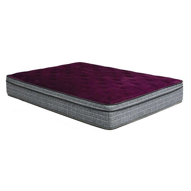 Minnetonka 13" Euro Pillow Top Mattress - Visions in Furniture (La Mirada, CA)
