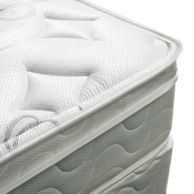 JALEN White 9" Euro Top Mattress, Queen - Visions in Furniture (La Mirada, CA)