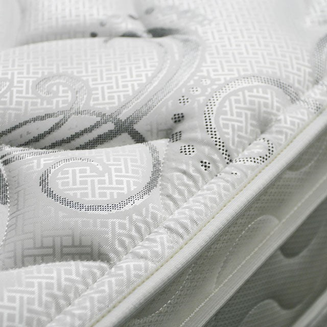 JALEN White 9" Euro Top Mattress, Queen - Visions in Furniture (La Mirada, CA)