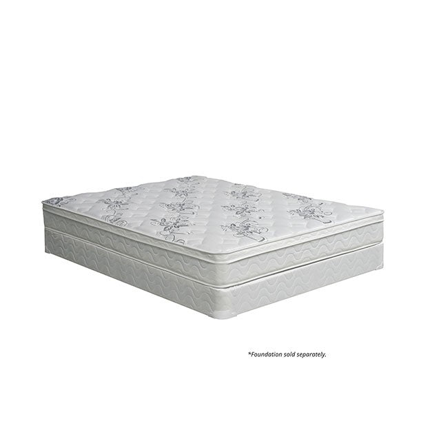 JALEN White 9" Euro Top Mattress, Queen - Visions in Furniture (La Mirada, CA)
