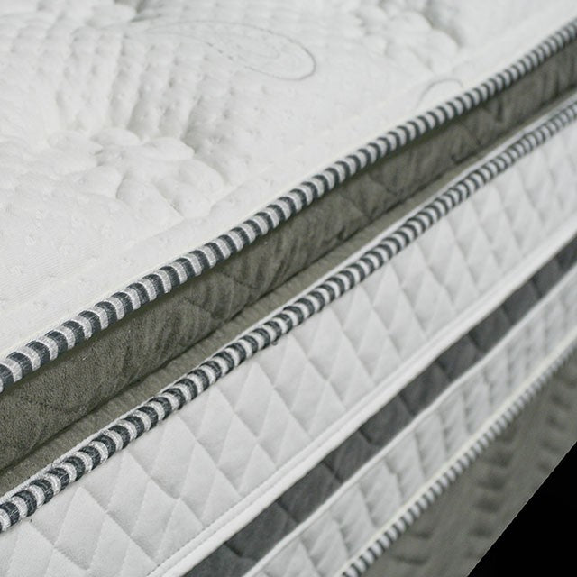 SIDDALEE White/Gray 16" Euro Pillow Top Mattress, E.King - Visions in Furniture (La Mirada, CA)