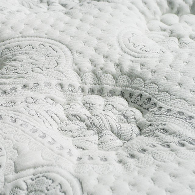 SIDDALEE White/Gray 16" Euro Pillow Top Mattress, E.King - Visions in Furniture (La Mirada, CA)
