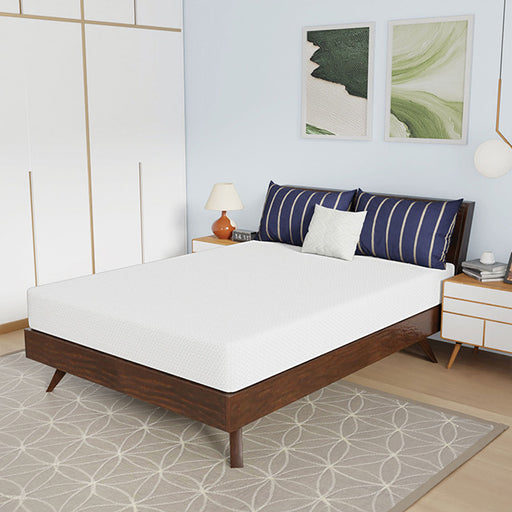Nasturtium 8" Full Bamboo Charcoal Infused Memory Foam - Visions in Furniture (La Mirada, CA)