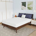 Nasturtium 8" Full Bamboo Charcoal Infused Memory Foam - Visions in Furniture (La Mirada, CA)