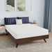 Nasturtium 8" Full Bamboo Charcoal Infused Memory Foam - Visions in Furniture (La Mirada, CA)