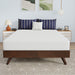 Nasturtium 8" Full Bamboo Charcoal Infused Memory Foam - Visions in Furniture (La Mirada, CA)
