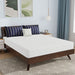 Nasturtium Mattress - Visions in Furniture (La Mirada, CA)