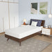 Nasturtium 8" Twin Bamboo Charcoal Infused Memory Foam - Visions in Furniture (La Mirada, CA)