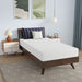 Nasturtium 8" Twin Bamboo Charcoal Infused Memory Foam - Visions in Furniture (La Mirada, CA)