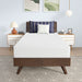 Nasturtium 8" Twin Bamboo Charcoal Infused Memory Foam - Visions in Furniture (La Mirada, CA)