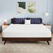 Nasturtium 10" E.King Bamboo Charcoal Infused Memory Foam - Visions in Furniture (La Mirada, CA)