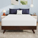 Nasturtium 10" Full Bamboo Charcoal Infused Memory Foam - Visions in Furniture (La Mirada, CA)