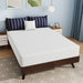 Nasturtium 10" Full Bamboo Charcoal Infused Memory Foam - Visions in Furniture (La Mirada, CA)