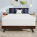 Nasturtium 12" Full Bamboo Charcoal Infused Memory Foam - Visions in Furniture (La Mirada, CA)