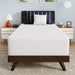 Nasturtium 12" Twin Bamboo Charcoal Infused Memory Foam - Visions in Furniture (La Mirada, CA)