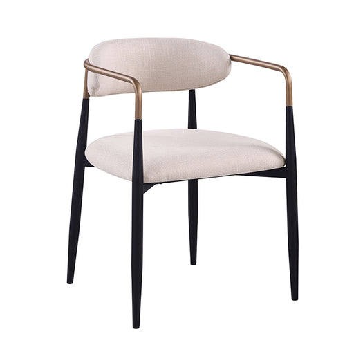 Neasden Side Chair (2/CTN) - Visions in Furniture (La Mirada, CA)