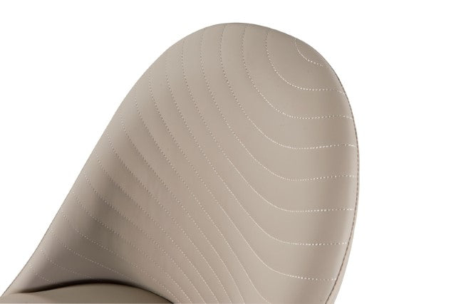 Lenvik Side Chair (2/CTN) - Visions in Furniture (La Mirada, CA)