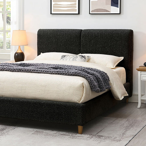 Stavern Bed Black & Grey - Visions in Furniture (La Mirada, CA)