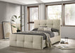 Merced Queen Bed - Visions in Furniture (La Mirada, CA)