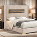 Danvers Bed Beige, Black, & Grey - Visions in Furniture (La Mirada, CA)
