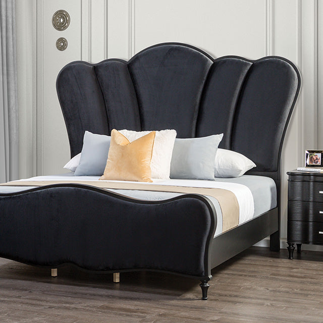 Melodi Parc E.King & Queen Bed Black & Silver - Visions in Furniture (La Mirada, CA)