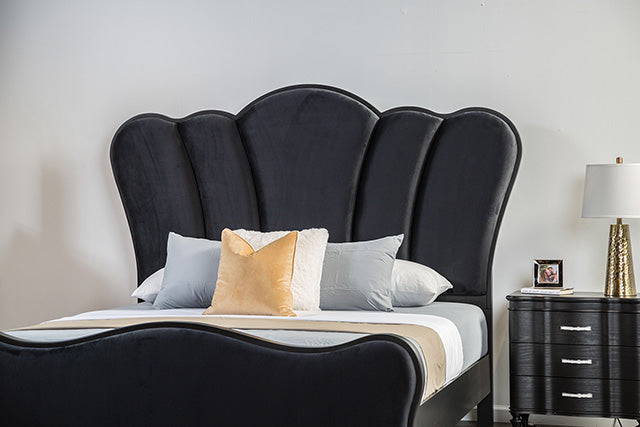 Melodi Parc Bed Black & Silver - Visions in Furniture (La Mirada, CA)
