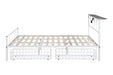 Nicoli Queen Metal Bed With Underbed Storage - Visions in Furniture (La Mirada, CA)