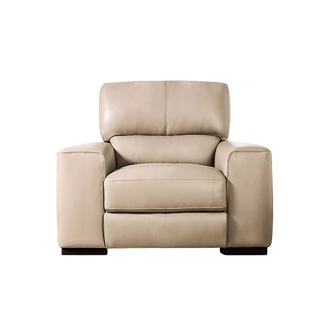 Marsicano Recliner - Visions in Furniture (La Mirada, CA)
