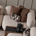 AICO Furniture Bristol Point Corner Unit in Saddle Brown - Visions in Furniture (La Mirada, CA)