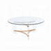 Sosi Coffee Table - Visions in Furniture (La Mirada, CA)