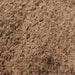 Melfort Rug - Visions in Furniture (La Mirada, CA)