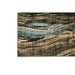 Kelowna Area Rug - Visions in Furniture (La Mirada, CA)