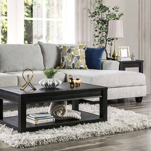 Viktor Sectional - Visions in Furniture (La Mirada, CA)